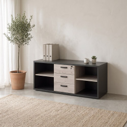 Meuble de rangement contemporain chêne/noir Salto