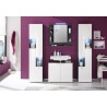 Armoire de toilette design avec éclairage coloris gris Trevis