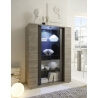 Vitrine contemporaine 2 portes avec éclairage chêne gris/gris mat Nessie