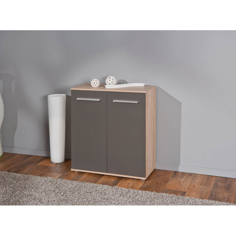 Meuble de rangement contemporain 2 portes chêne sonoma/gris Dublin