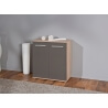Meuble de rangement contemporain 2 portes chêne sonoma/gris Dublin
