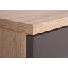 Meuble de rangement contemporain 2 portes/4 tiroirs chêne sonoma/gris Dublin