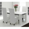 Table de salle à manger design laquée blanc/gris Corsika