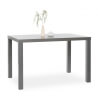 Table de salle à manger rectangulaire design 120 cm coloris gris Clarence