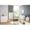 Meuble de rangement contemporain blanc mat 2 portes Sophiane