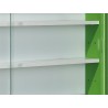 Vitrine contemporaine en bois vert Carina