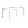 Table de salle à manger contemporaine chêne clair/gris Becca
