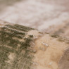Tapis effet 3D à courtes mèches rayé Magna