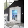 Vitrine design Milenor