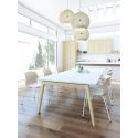 Table de réunion scandinave Erika