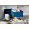 Pouf coffre moderne en velours Tivoli