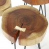 Tables d'appoints en bois massif (lot de 2) Roger