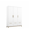 Armoire scandinave blanc/chêne Edisson I