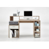 Bureau informatique contemporain Marius