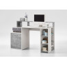 Bureau informatique contemporain Marius