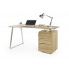 Bureau droit moderne Timothee