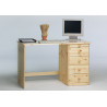 Bureau droit style nature 120 cm Liberia