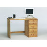 Bureau droit style nature 120 cm Liberia