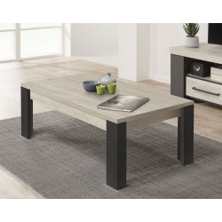 Table basse moderne chêne/gris Engueran