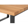 Table basse industrielle métal et bois massif Begonia