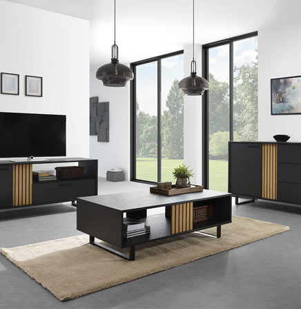 Meubles de salon