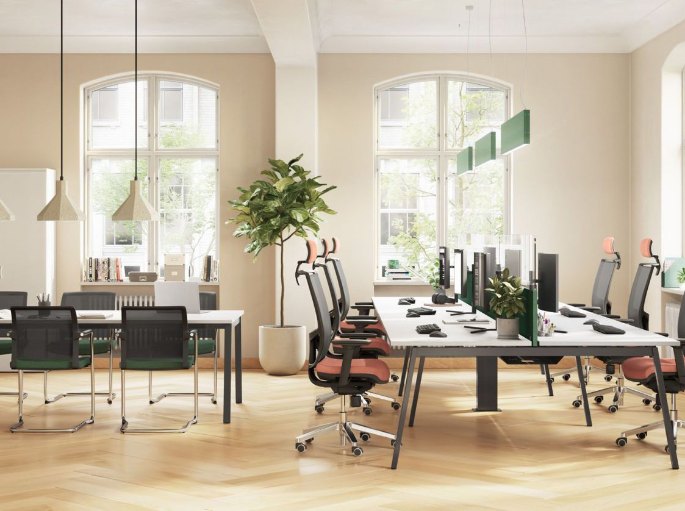 Plateau non attribué sur parquet avec tables partagées et plantes vertes