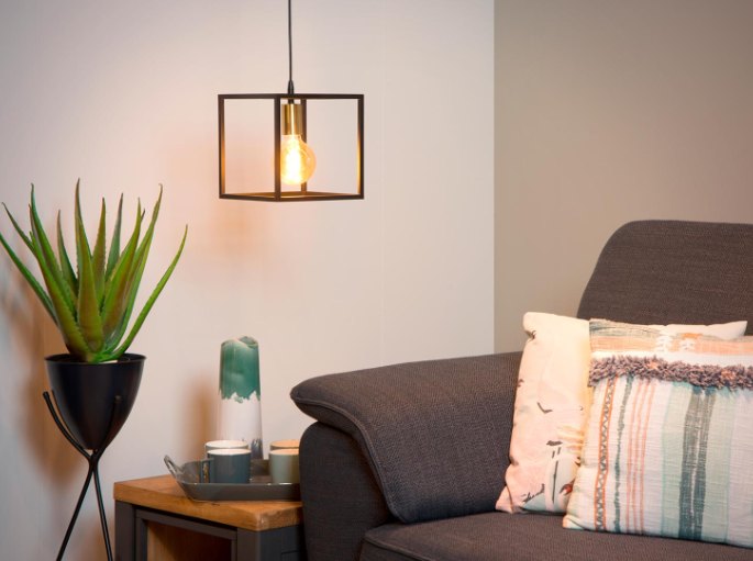 Cube métallique noir suspendu au-dessus d'un coin salon avec canapé gris et plante verte