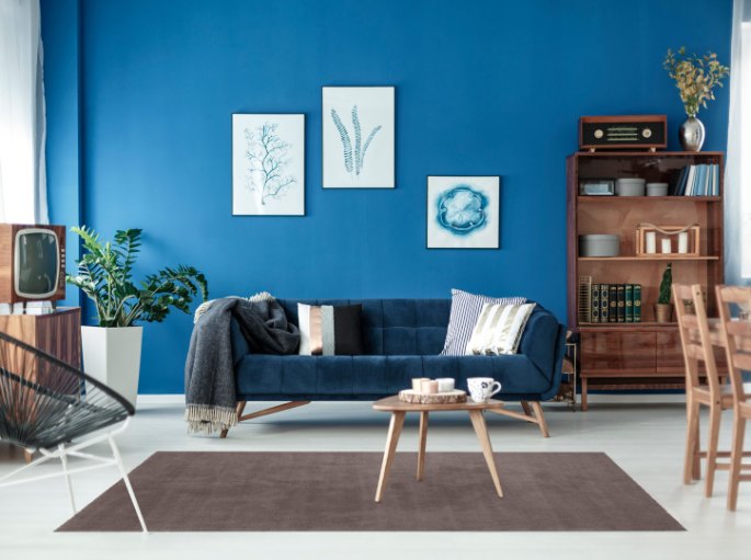 Pièce aux murs bleus avec un revêtement rectangulaire brun à poils courts