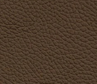 Marron foncé