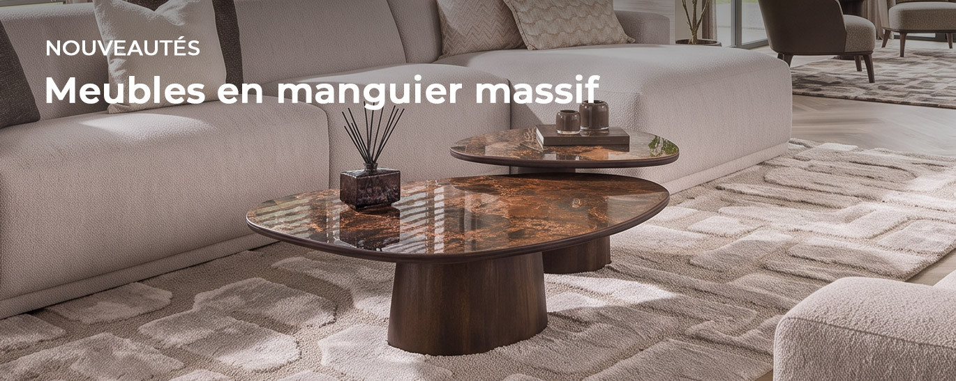 1-33-Banniere-desktop-matelpro-manguier.jpg